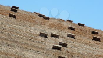 Royalty Free Photo of Bales of Hay