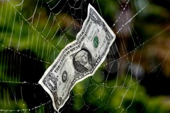 Royalty Free Photo of a Dollar Bill on a Web