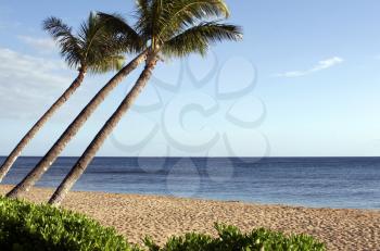 Royalty Free Photo of a Tropical Paradise