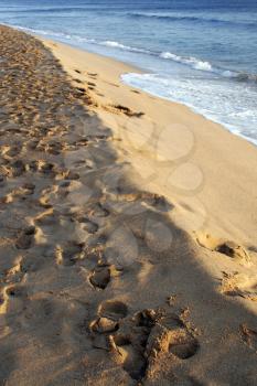 Royalty Free Photo of Footprints at the Beach