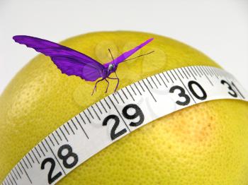 Royalty Free Photo of a Butterfly And Grapefruit With Measuring Tape