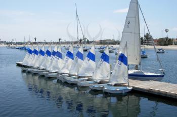 Royalty Free Photo of Sailboats on San Diego's Mission Bay
