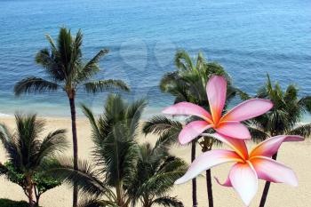 Royalty Free Photo of a Hawaiian Beach