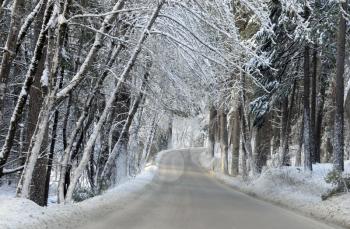 Royalty Free Photo of a Wintry Road