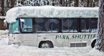 Royalty Free Photo of a Park Shuttle Bus in Winter