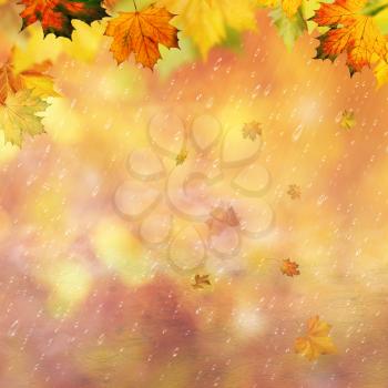 Abstract autumnal backgrounds for your design