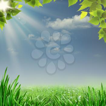 Misty summer noon. Abstract natural backgrounds for your design