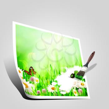 Beautiful spring backgrounds with chamomile flowers
