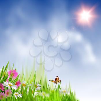 Beauty summer meadow. Abstract natural backgrounds