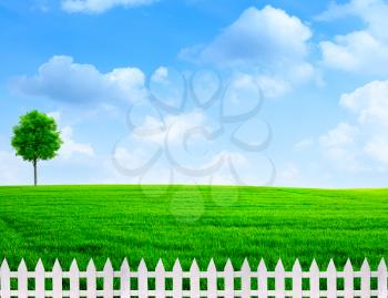 summer time outdoor rural view with white fence 