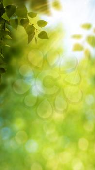 Funny seasonal panoramic banner with bright foliage and beauty bokeh