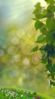 Funny seasonal panoramic banner with bright foliage and beauty bokeh