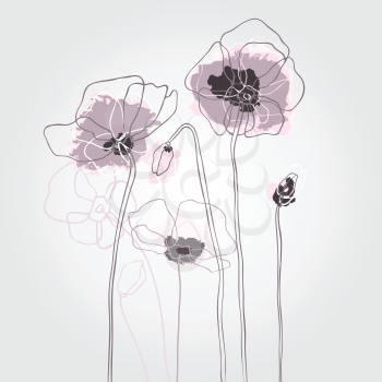 Red poppies on a white background. Vector illustration.