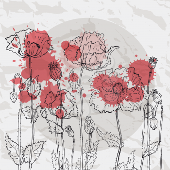 Poppies on crumpled paper background. Vector illustration