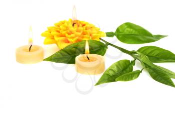 Royalty Free Photo of Candles and Leaves