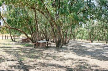 Royalty Free Photo of a Picnic Area by Trees
