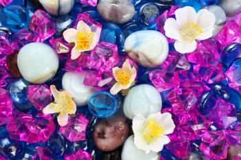 Royalty Free Photo of Colourful Stones and Flowers