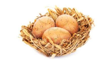 Royalty Free Photo of Eggs in a Nest