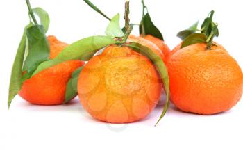 Royalty Free Photo of Tangerines