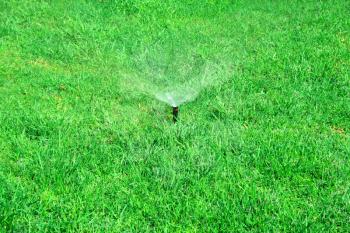 Royalty Free Photo of a Grass Being Watered