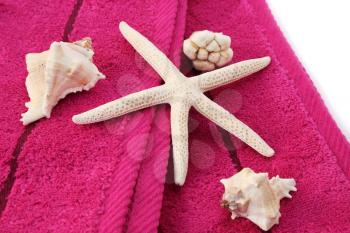 Royalty Free Photo of Shells on Towels