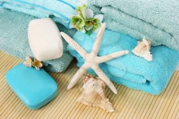 Royalty Free Photo of Seashells on Towels