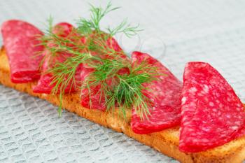 Sandwich with salami and dill isolated on gray background.