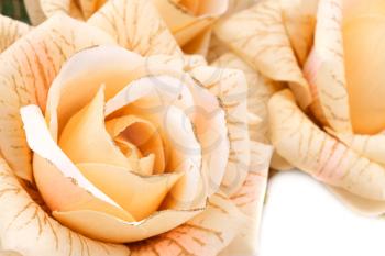 Yellow fabric roses closeup picture.