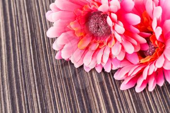 Pink fabric daisies on striped background.