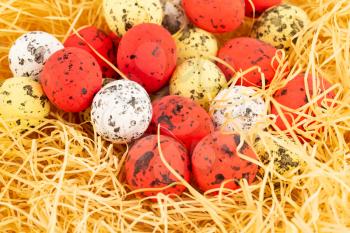 Easter colorful eggs on yellow straw background.