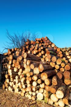 Firewood combined in a woodpile.