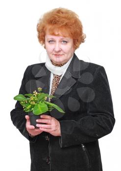 Friendly senior woman with house plant, flowers. Isolated over white.
