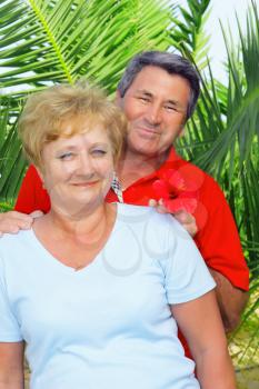Elderly couple near the palm-tree in tropical country.