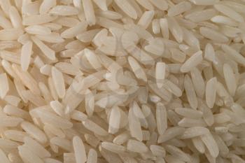 Risotto Rice Close-up