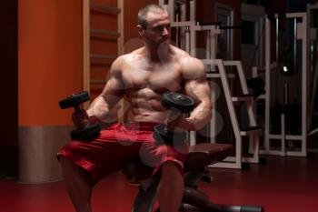 Young Bodybuilder Working Out Biceps - Dumbbell Concentration Curls