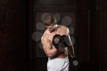 Young Healthy Man Working Out Biceps - Dumbbell Concentration Curls