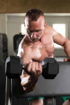 Muscular Young Man Doing Heavy Weight Exercise For Biceps With Dumbbells In Modern Fitness Center Gym