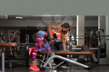 Fitness Woman Working Out Back In Fitness Center - Dumbbell Concentration Curls