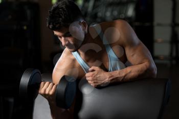 Healthy Man Working Out Biceps In A Fitness Center Gym - Dumbbell Concentration Curls