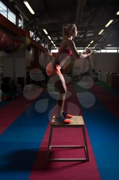 Fit Young Woman Doing Box Jumping At A Style Gym - Female Athlete Is Performing Box Jumps At Gym