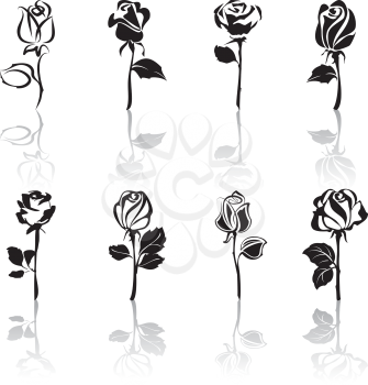 Icon set, black roses with reflections on a white background