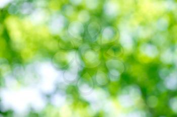 Royalty Free Photo of a Leaf Bokeh Background