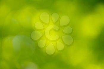 Royalty Free Photo of a Green Bokeh Background
