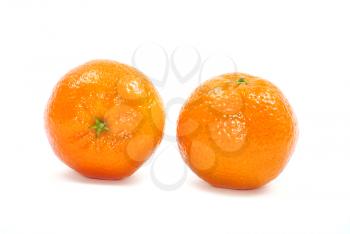 Royalty Free Photo of Two Mandarins