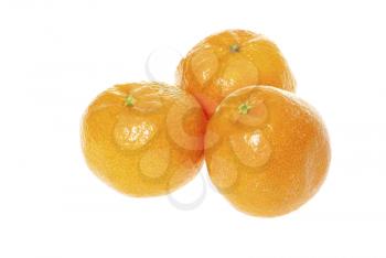 tangerine  isolated on white background