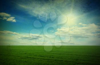 green field and blue sky 