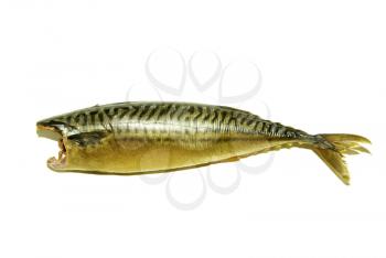 smoked fish isolated on white