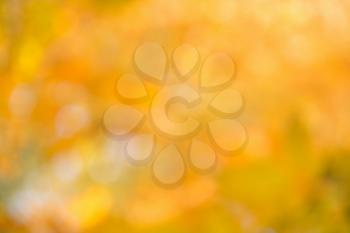 blurred abstract autumn background