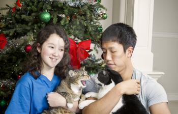 Family cat snarls at other family members during holiday season with Christmas tree in background