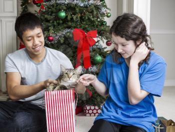 Brother and sister find cat in gift bag during Christmas day